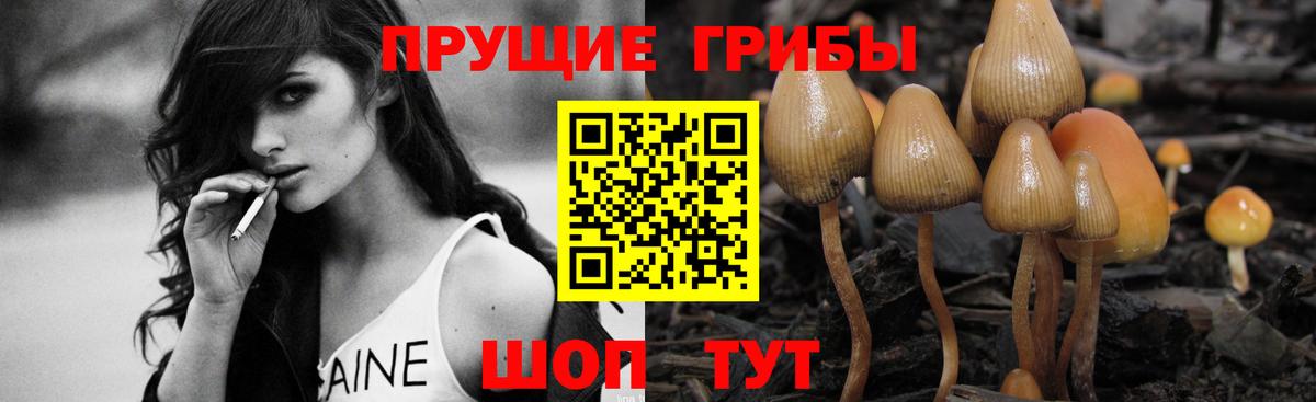 Галлюциногенные грибы Magic Shrooms Сланцы